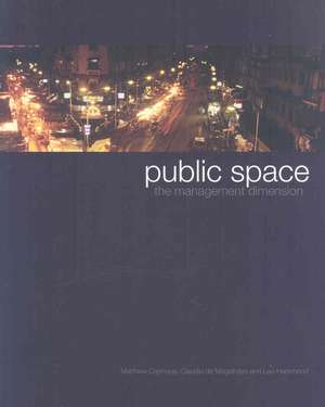 Public Space: The Management Dimension de Matthew Carmona