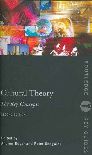 Cultural Theory: The Key Concepts de Andrew Edgar