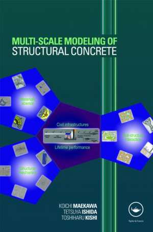 Multi-Scale Modeling of Structural Concrete de Koichi Maekawa