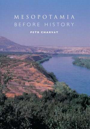 Mesopotamia Before History de Petr Charvát