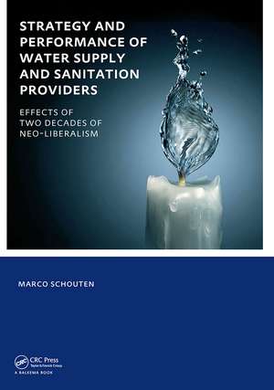 Strategy and Performance of Water Supply and Sanitation Providers: UNESCO-IHE PhD Thesis de Marco Schouten