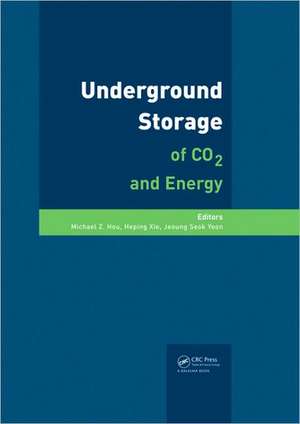 Underground Storage of CO2 and Energy de Michael Z. Hou