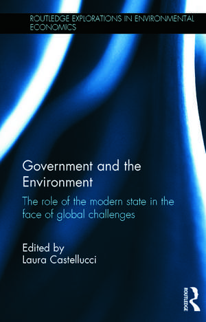 Government and the Environment: The Role of the Modern State in the Face of Global Challenges de Laura Castellucci