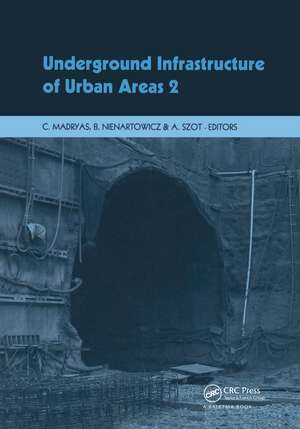 Underground Infrastructure of Urban Areas 2 de Cezary Madryas