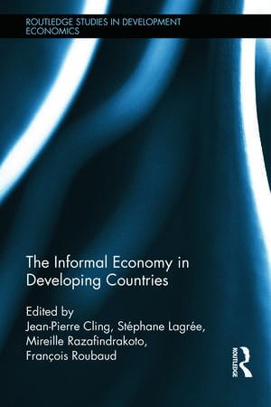 The Informal Economy in Developing Countries de Jean-Pierre Cling