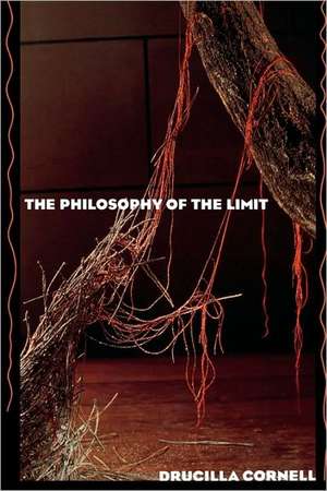 The Philosophy of the Limit de Drucilla Cornell