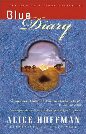 Blue Diary de Alice Hoffman