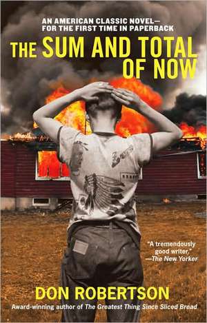 The Sum and Total of Now de Don Robertson