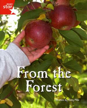 Fantastic Forest Red Level Non-Fiction: From the Forest de Ms Katy Pike