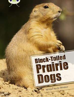 Bug Club Independent Non Fiction Year Two White B Black-tailed Prairie Dogs de Jo Windsor