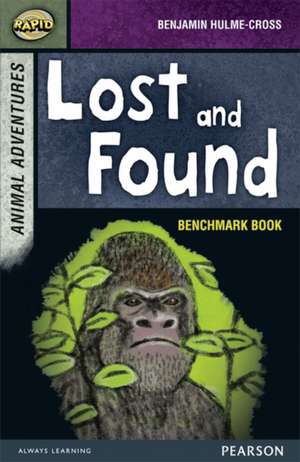 Reid, D: Rapid Stage 7 Assessment book: Lost and Found de Benjamin Hulme-Cross