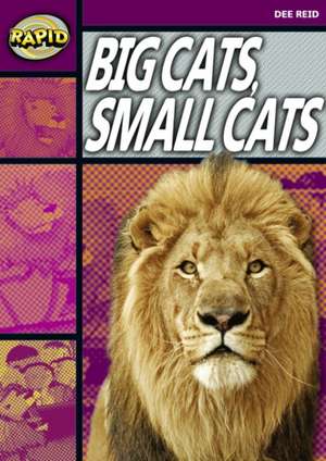 Rapid Reading: Big Cats Small Cats (Stage 1, Level 1A) de Dee Reid