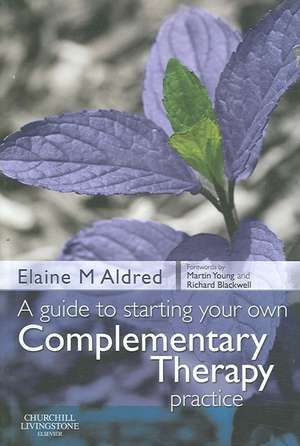 A Guide to Starting your own Complementary Therapy Practice de Elaine Mary Aldred