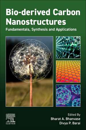 Bio-derived Carbon Nanostructures: Fundamentals, Synthesis and Applications de Bharat Apparao Bhanvase