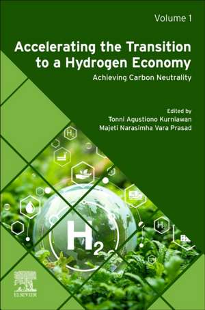 Accelerating the Transition to a Hydrogen Economy: Achieving Carbon Neutrality de Tonni Agustiono Kurniawan