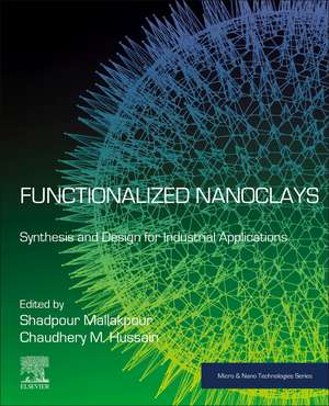 Functionalized Nanoclays: Synthesis and Design for Industrial Applications de Shadpour Mallakpour