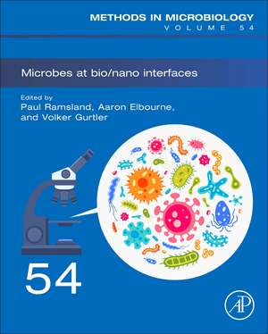 Microbes at Bio/Nano Interfaces de Paul Ramsland