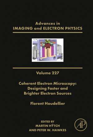 Coherent Electron Microscopy: Designing Faster and Brighter Electron Sources de Peter W. Hawkes