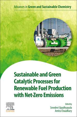 Sustainable and Green Catalytic Processes for Renewable Fuel Production with Net-Zero Emissions de Sreedevi Upadhyayula