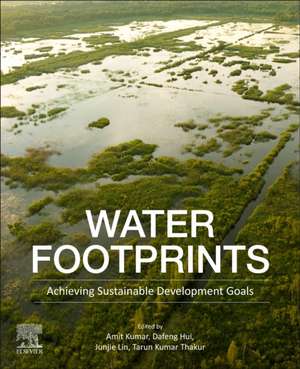 Water Footprints: Achieving Sustainable Development Goals de Amit Kumar