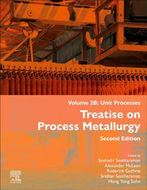 Treatise on Process Metallurgy, Volume 2B: Unit Processes de Seshadri Seetharaman