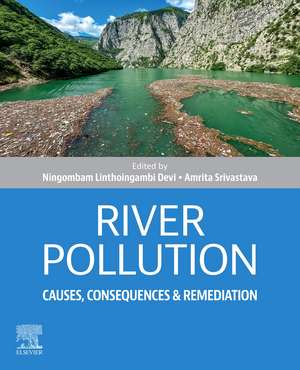 River Pollution: Causes, Consequences and Remediation de Ningombam Linthoingambi Devi