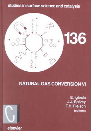 Natural Gas Conversion VI de T.H. Fleisch