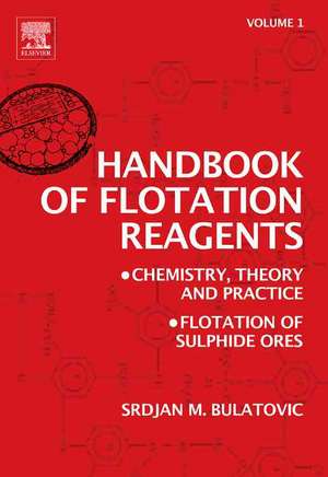 Handbook of Flotation Reagents: Chemistry, Theory and Practice: Volume 1: Flotation of Sulfide Ores de Srdjan M. Bulatovic