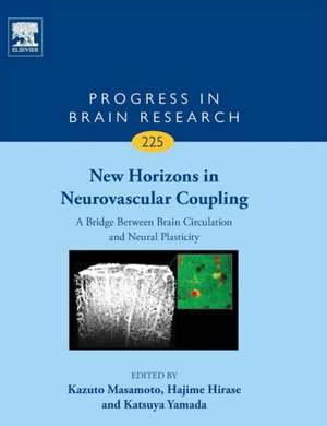 New Horizons in Neurovascular Coupling: A Bridge Between Brain Circulation and Neural Plasticity de Kazuto Masamoto