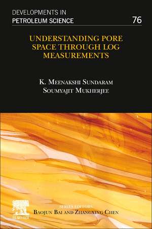 Understanding Pore Space through Log Measurements de K. Meenakshi Sundaram