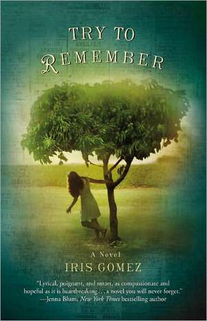 Try to Remember de Iris Gomez