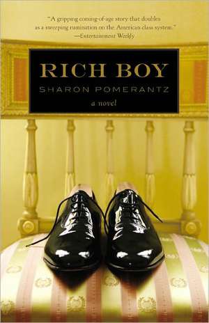 Rich Boy de Sharon Pomerantz