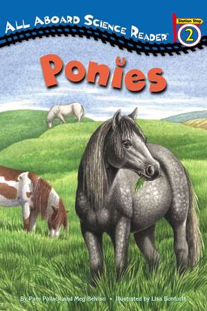 Ponies de Pam Pollack