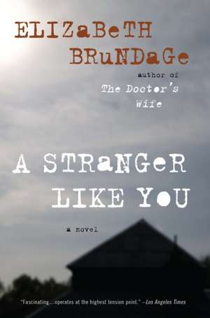 A Stranger Like You de Elizabeth Brundage