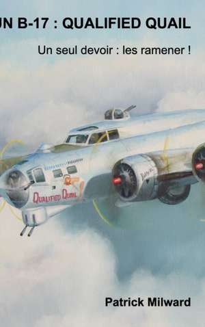 Un B-17 de Patrick Milward