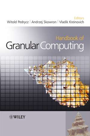 Handbook of Granular Computing de W Pedrycz