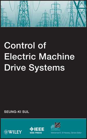 Electric Machine Drive Systems de Sul