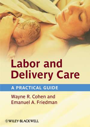 Labor and Delivery Care – A Practical Guide de WR Cohen