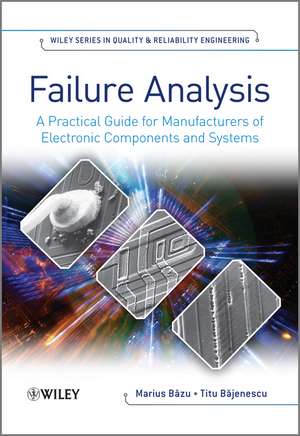 Failure Analysis de Marius Bazu