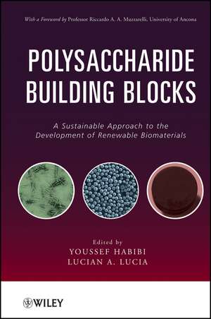 Polysaccharide Building Blocks de Youssef Habibi
