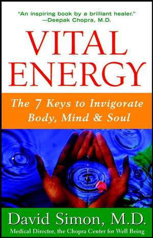 Vital Energy: The 7 Keys to Invigorate Body, Mind, and Soul de David Simon, M.D.