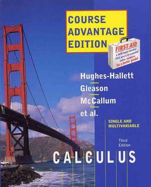 Calculus de Deborah Hughes-Hallett