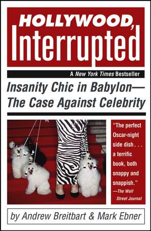 Hollywood, Interrupted – Insanity Chic in Babylon – The Case Against Celebrity de A Breitbart