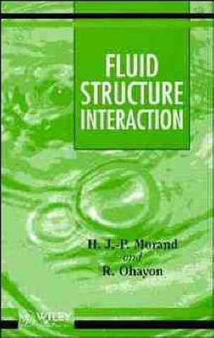 Fluid Structure Interaction – Applied Numerical Methods de H Morand