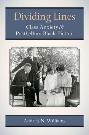 Dividing Lines: Class Anxiety and Postbellum Black Fiction de Andreá N. Williams