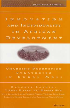 Innovation and Individuality in African Development: Changing Production Strategies in Rural Mali de Dolores Koenig