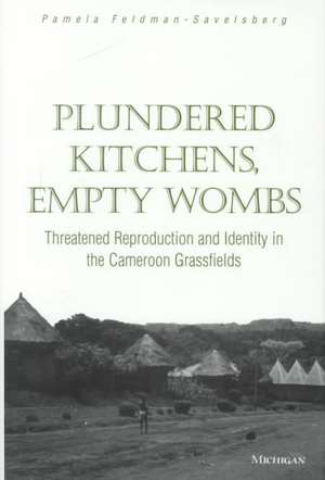 Plundered Kitchens, Empty Wombs: Threatened Reproduction and Identity in the Cameroon Grassfields de Pamela Lou Feldman-Savelsberg