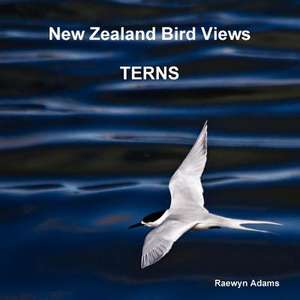 New Zealand Bird Views: Terns de Raewyn Adams