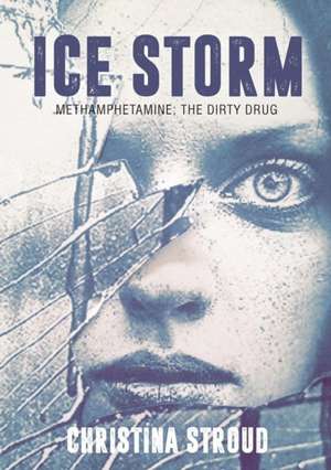 Ice Storm de Christina Stroud