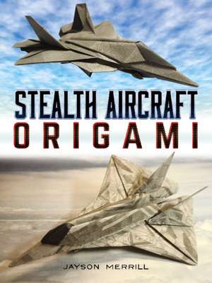 Stealth Aircraft Origami de Jayson Merrill